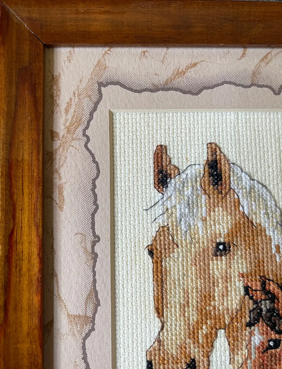Vintage Framed Needlework Petit Point Horse 🐎 Head Portrait Equine Equestrian Horses
